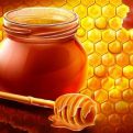 کانال عسل سنتی ناصری | مای چن